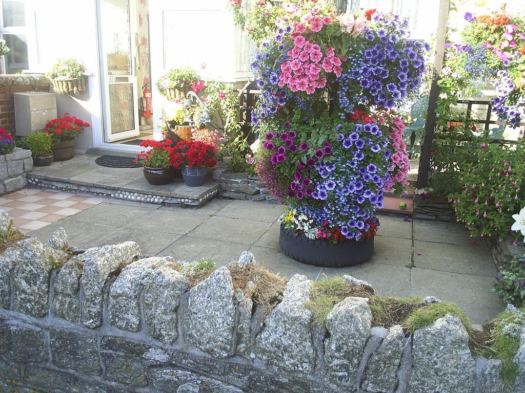 Bed and Breakfast Seashells New Quay Exterior foto