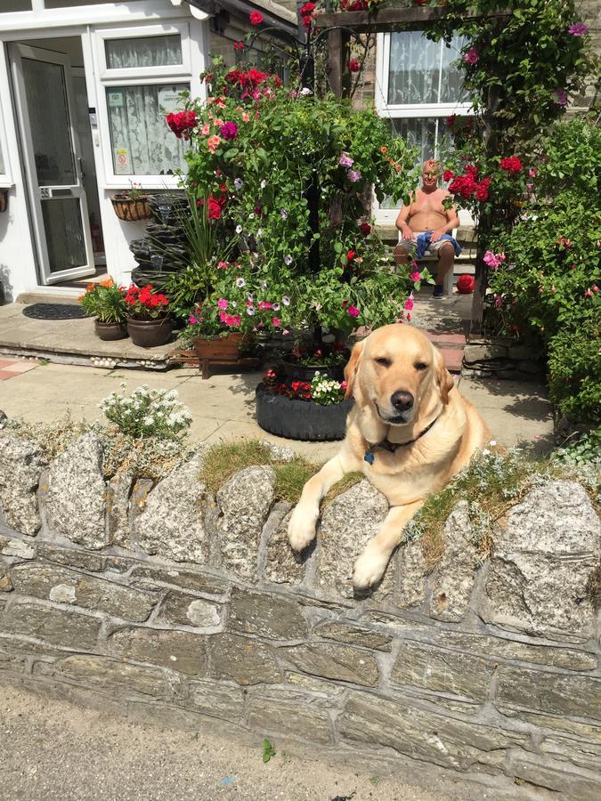 Bed and Breakfast Seashells New Quay Exterior foto