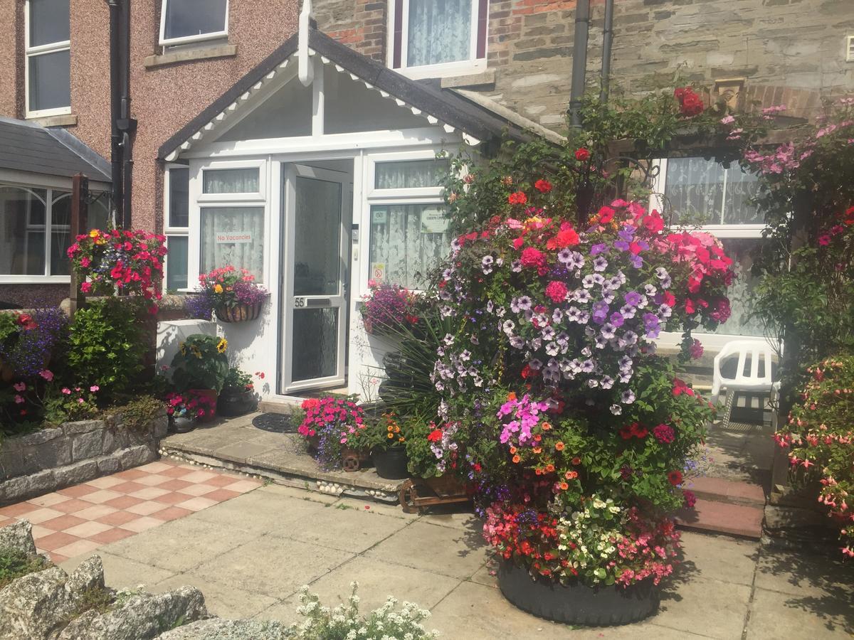 Bed and Breakfast Seashells New Quay Exterior foto